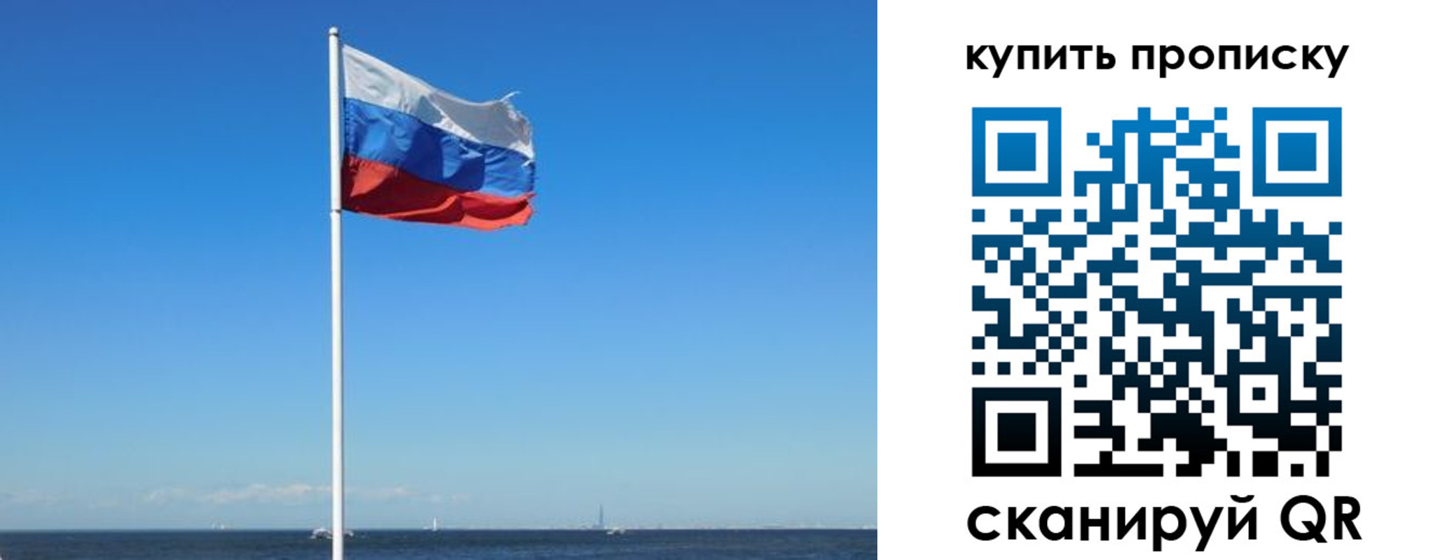 прописка для школы в Сертолово
